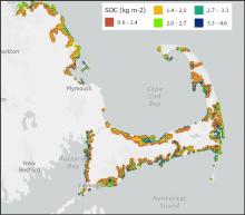 Predicted soil organic carbon (SOC) content of wetlands at 0-5 cm depth in the vicinity of Cape Cod, Massachusetts, U.S.