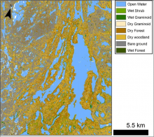 A preliminary wetland classification for Canadian Shield lakes north of Yellowknife, NWT, Canada. Missing data in some lakes appear as white spots.