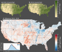 Interannual variation in gross primary productivity (GPP) across conterminous United States. Map of annual mean GPP for 2018 (a) and 2019 (b). Map of the difference in annual mean GPP between 2019 and 2018 (c) wherein red indicates higher GPP in 2019 and blue indicates higher GPP in 2018. The inset in the bottom left corner shows a time series of the average GPP across CONUS for 2018 and 2019.