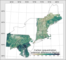 Spatial patterns of forest carbon stores and carbon sequestration potential for the Regional Greenhouse Gas Initiative domain. Map shows carbon sequestration potential difference.