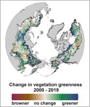 Change in greenness of boreal forest across the northern hemisphere between 2000 to 2019, estimated from an ensemble of vegetation indices derived from Landsat imagery. 
