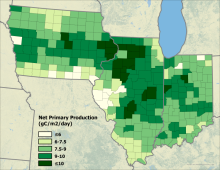 cropland carbon fluxes Illinois, Indiana, and Iowa