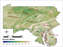 Aboveground biomass for the tri-state region of Maryland, Pennsylvania, and Delaware