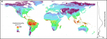 Global map of annual soil respiration.