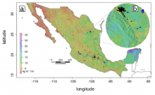 Map of Mexico's soil organic carbon.