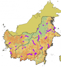 90 survey sites across the Indonesian portion of the island of Borneo