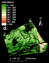aboveground biomass density in zambezi river delta