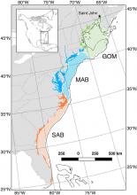 Study domain for mean annual fluxes of carbon in Coastal Ecosystems of Eastern North America