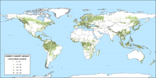 Global forest canopy height (Lorey's mean (m)).