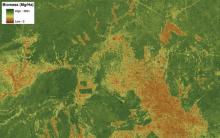 Amazonian Biodiversity Map