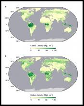 Map of biomass carbon density.