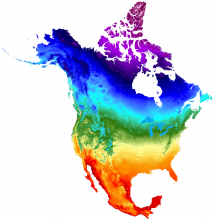 Average daily temperature maximum, 2017