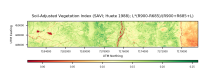 Soil Adjusted Vegetation Index for a site on the Seward Peninsula, Alaska collected on August 14, 2018. Soil Adjusted Vegetation Index