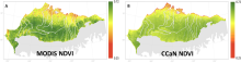 MODIS and CCaN average growing season