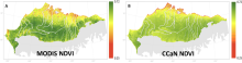 Normalized Difference Vegetation Index images MODIS and CCaN average growing season