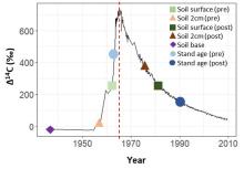 Graph of radiocarbon concentration over time Radiocarbon concentration over time according to soil depth and stand age
