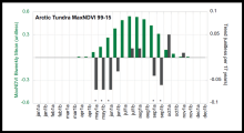 Graph of Arctic Tundra MaxNDVI Arctic tudra MaxNDVI biweekly mean