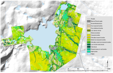 Map of vegetation communities. Vegetation communities.