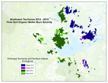 Soil Organic Matter Burn Severity Map of study area.