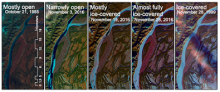 Example images of freeze-up stages. Freeze-up stages.