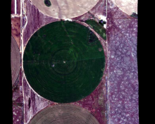A portion of the quicklook image from flight line ang20150611t202652 over Reynolds Creek Experimental Watershed, Idaho on June 6, 2015. Center-pivot irrigation of agricultural land (1/2 mile in diameter) is visible in this image. A portion of the quicklook image from flight line ang20150611t202652 over Reynolds Creek Experimental Watershed, Idaho on June 6, 2015.