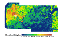 Aboveground biomass map. Aboveground biomass.