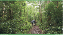 Field work in Gabon AfriSAR project researchers in Gabon