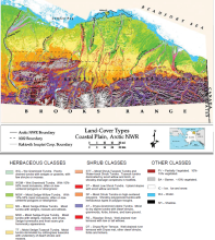 Land-cover map of the Coastal Plain, Arctic National Wildlife Refuge, Alaska, 1993. Sixteen land-cover types are noted, with a 17th notation for shadow (Jorgenson et al., 1994).