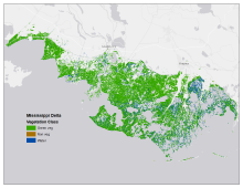 Map of tidal marsh vegetation Mississippi River Delta tidal marsh