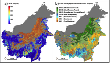 Aboveground biomass density maps of Kalimantan forests Aboveground biomass and land cover