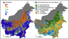 Aboveground biomass and land cover