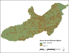 Map of forest aboveground biomass across Paragominas Municipality, Brazil. Forest aboveground biomass.