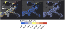 Image of three carbon stock estimates Three carbon stock estimation approaches for the Louisiana Delta region