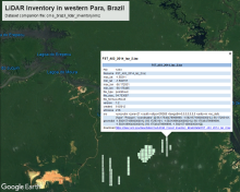 LiDAR Tiles Map of Para, Brazil.