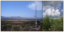  El Mogor tower (left; MX-Emg), Baja California, and Rayon tower (right; MX-Ray), Sonora, both in northwestern Mexico.