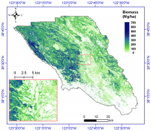 A subset near Santa Rosa, the largest city in California's North Coast Estimated aboveground biomass for Sonoma County