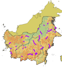 90 survey sites across Indonesia 90 survey sites across the Indonesian portion of the island of Borneo
