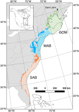 Three Coastal Ecosystems of Eastern North America study domain Study domain for mean annual fluxes of carbon in Coastal Ecosystems of Eastern North America