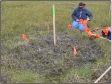 Frost-boil vegetation plot at Franklin Bluffs in northern Alaska Frost-boil vegetation plot at Franklin Bluffs in northern Alaska