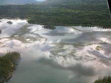 Environmental condition photo of the Tok Community. Lake grass vegetation at Tok.