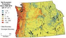 Pacific Northwest net ecosystem production 1986–2010 Mean net ecosystem production in the U.S. Pacific Northwest