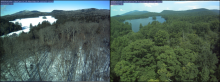 PhenoCam images showing two seasons at the Arbutus Lake site in NY.