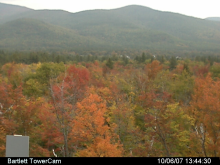 Phenocam photograph of Bartlett Forest, NH, 10/06/07. Credit: Andrew Richardson.