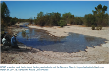 USGS scientists track the timing of the long-awaited return of the Colorado River to its parched delta in Mexico on March 24, 2014. Scientists track return of Colorado River