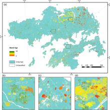 Stand age distribution map for the Siberian Larch forests in 2012. Insets show views of three subsets of the stand age map (from Chen et al., 2016). Stand age distribution map for the Siberian Larch forests in 2012. Insets show views of three subsets of the stand age map (from Chen et al., 2016).