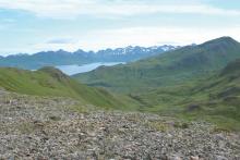 Vegetation (Vaccinium uliginosum-Thamnolia vermicularis in the foreground) on Unalaska Island, August 10th, 2007 (Talbot et al., 2010). Vegetation (Vaccinium uliginosum-Thamnolia vermicularis in the foreground) on Unalaska Island, August 10th, 2007 (Talbot et al., 2010).