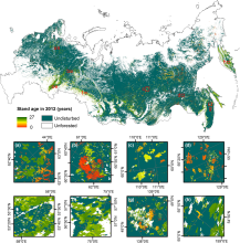 Distribution of young forests across Russia. Insets (a-h) show a closer view of stand age at eight selected sites. From Loboda and Chen (2016).