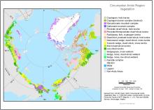 circumpolar arctic vegetation map