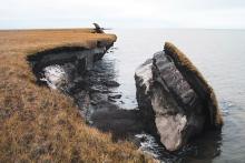 Large sections of exposed permafrost are visible after a portion of Alaska's coastal tundra collapsed. (Photo by USGS Alaska Science Center.)