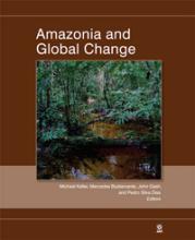 Amazonia and Global Change book cover